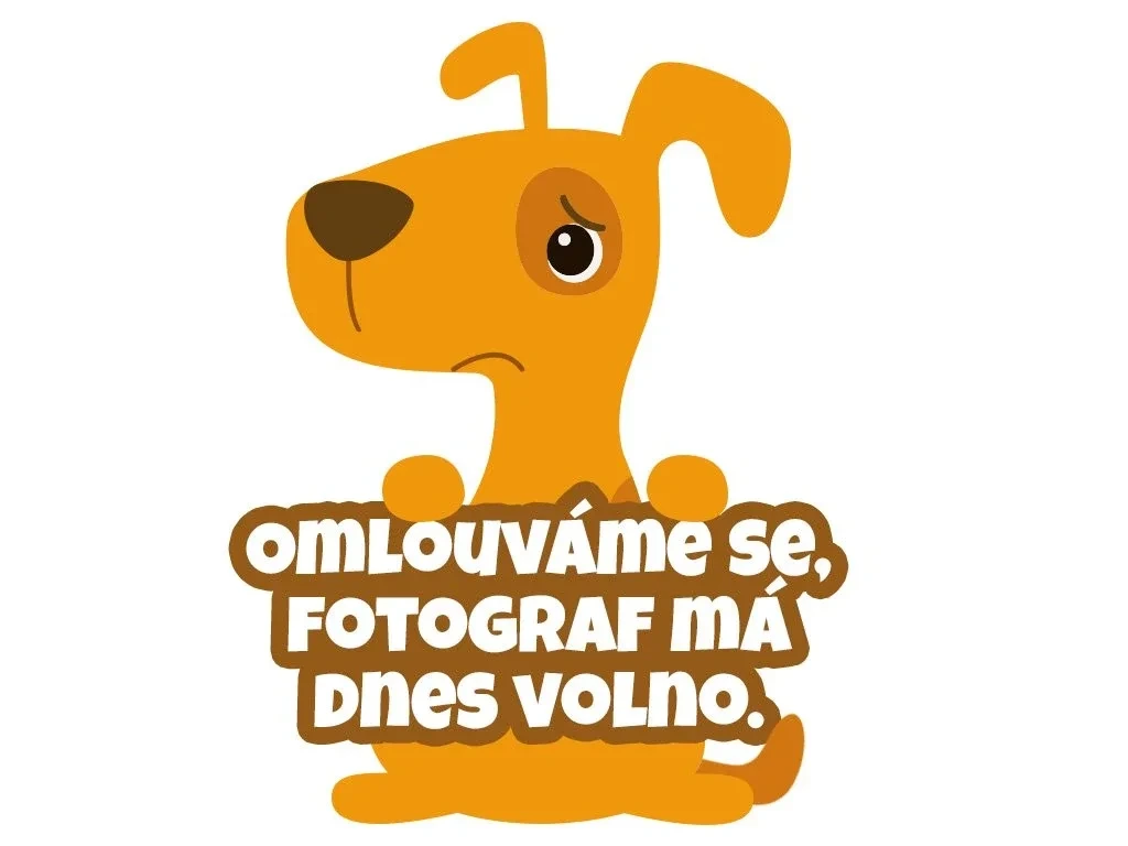 43704 chybejici fotka produktu pytel granuli yczsiv
