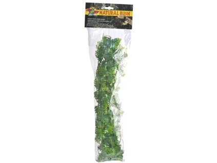 Terarijní rostlina ZMD Amazonian Phyllo L