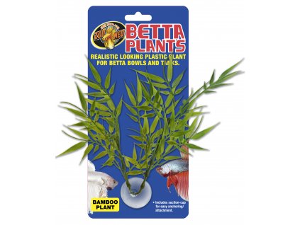 Betta Plant – Bambus