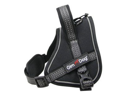 Postroj Gimborn Advance S 2,0x58-76cm černý