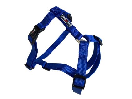 Postroj Gimborn Nylon H 2,5x67-90cm modrý