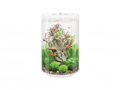 26844 akvarium biorb tube mcr biele 30l