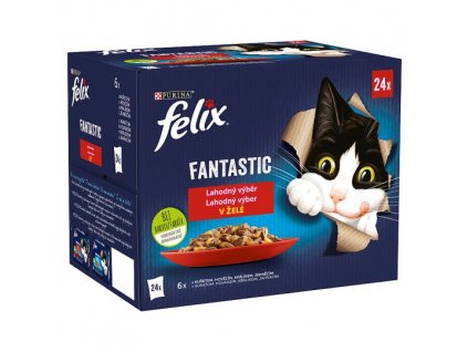 Felix Fantastic multipack lahodný výběr v želé 24 x 85 g