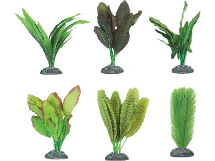 FLAMINGO  akvarijní rostliny mix  CONGO L