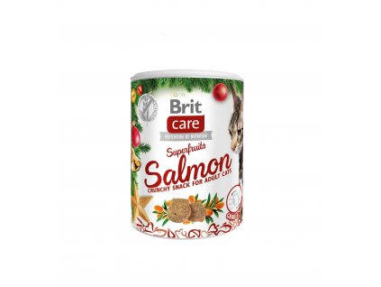 Brit Care Cat Christmas Superfruits, 100 g
