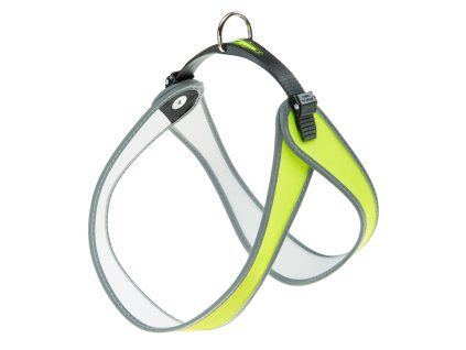 Postr.FER AGILA SUN 8 HARNESS