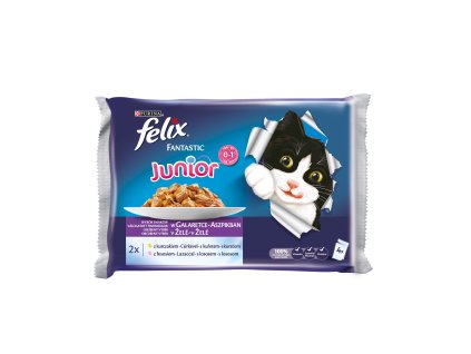 Kapsička Felix Fantastic multipack Junior kuře a losos v želé 4x100g