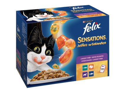 Kapsička Felix Sensitive multipack masovy a rybí vyber 12x100g