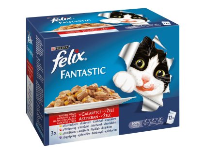 Kapsička Felix Fan.multipack Masovy vyber 12x100g