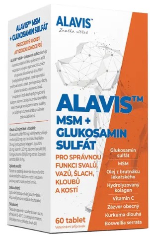 Alavis MSM+GS 60 tbl