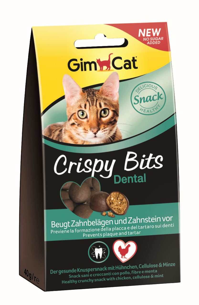 GIMCAT Crispy Dental 40g