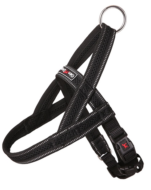 Postroj Gimborn Mesh Y 1,5x42 45-55cm černý