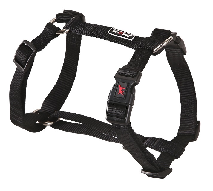 Postroj Gimborn Nylon H 3,8x80-110cm černý