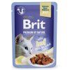 Kapsička Brit Premium Cat Delicate Fillets in Jelly with Beef 85 g