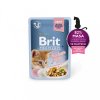 Kapsička Brit Premium Cat Delicate Fillets in Gravy with Chicken for Kitten 85g