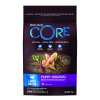 Wellness Core Large Breed Puppy Original kuře 10kg