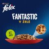 Felix Fantastic Multipack 1 (80 x 85 g) hovězí/kuře/tuňák/treska v želé