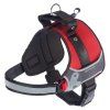 Postr.FER HERCULES HARNESS RED XL