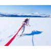 I-Dog Comfort Trek vodítko s amortizérem červené
