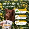 Brit dentální pamlsek pro psy Immuno with Probiotics&Cinnamon 7ks