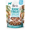 Brit RAW TREAT Skin&Coat Fish&Chicken pamlsky pro psy 40g