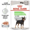 Royal Canin Wet digestive care kapsička 12x85g