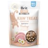 Brit RAW Treat Cat Sensitive 40 g