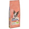 Purina Dog Chow Active Chicken 14 kg (expirace: 30.3.2021)