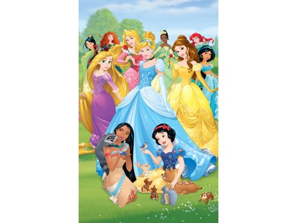24498 walltastic 3d tapeta plakat princezny na louce 1524 mm x 2438 mm