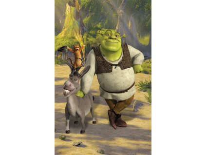 24507 walltastic 3d tapeta plakat shrek 1524 mm x 2438 mm