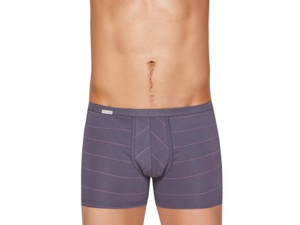 Pánské boxerky Body&Soul 10/1-13/88 FABIO (Velikost M, Barva šedá)