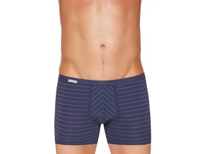 Pánské boxerky Body&Soul 10/1-13/72 FABIO (Velikost M, Barva grey (šedá))