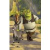 24507 walltastic 3d tapeta plakat shrek 1524 mm x 2438 mm