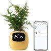 pol pm Plantsio Zolta Inteligentna doniczka oslonka IVY 6325 1
