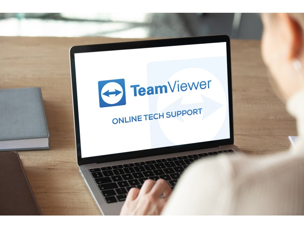 teamviewer online podpora EN