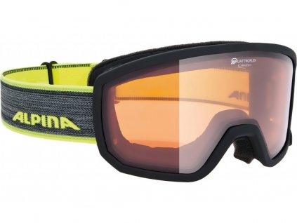 Lyžařské brýle Alpina Scarabeo S QH (Velikost UNI)