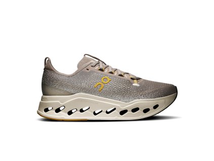 Boty Běžecké ON Running Cloudsurfer Max Cinder/Pelican (Velikost 44.5)