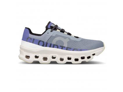 Dámské boty ON Running Cloudmonster Mist/Blueberry