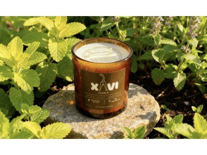 c433f9f3 61e4 407b 949f bdd5ee4a7d3b