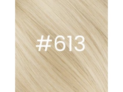 Středoevropské vlasy - odstín 613 Blond
