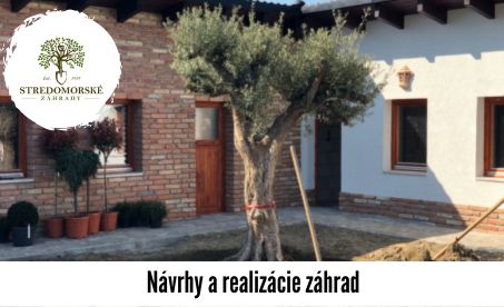 Záhrada