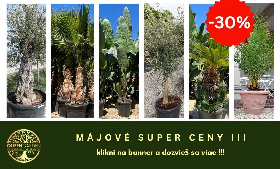 Majove super ceny