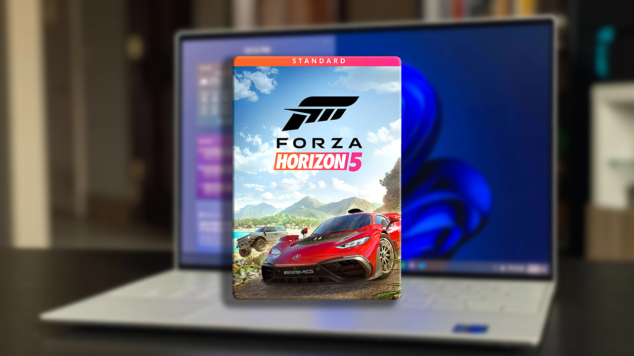 Návod - Forza Horizon