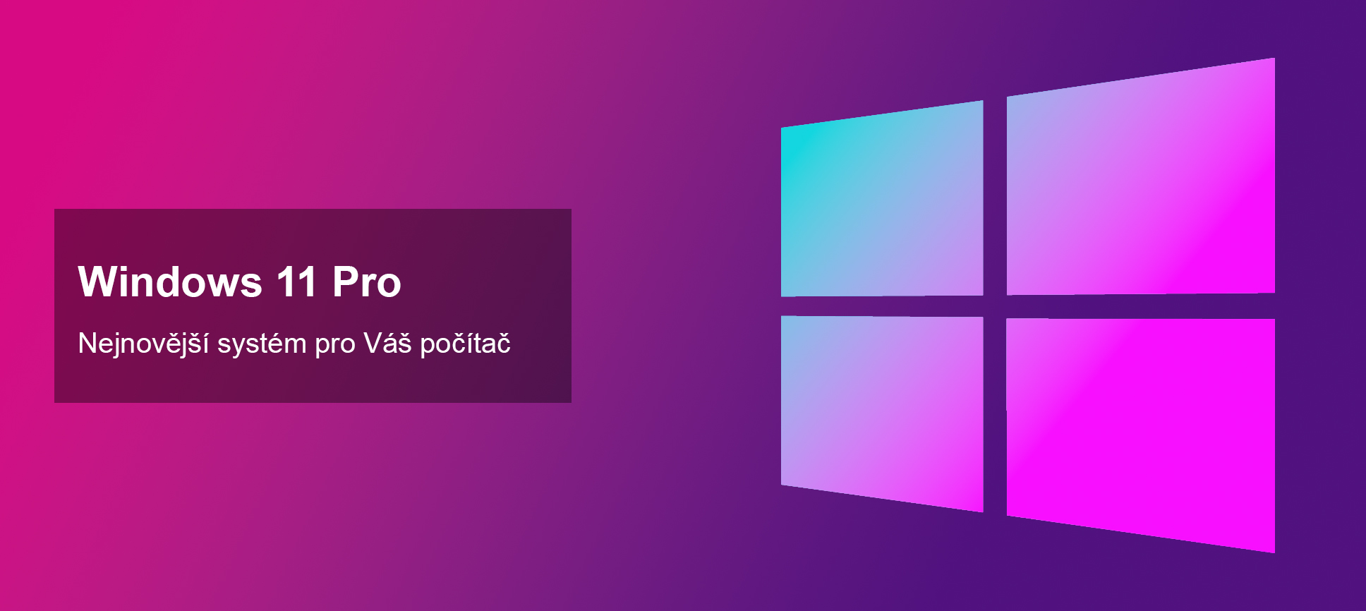 Windows 11 Professional