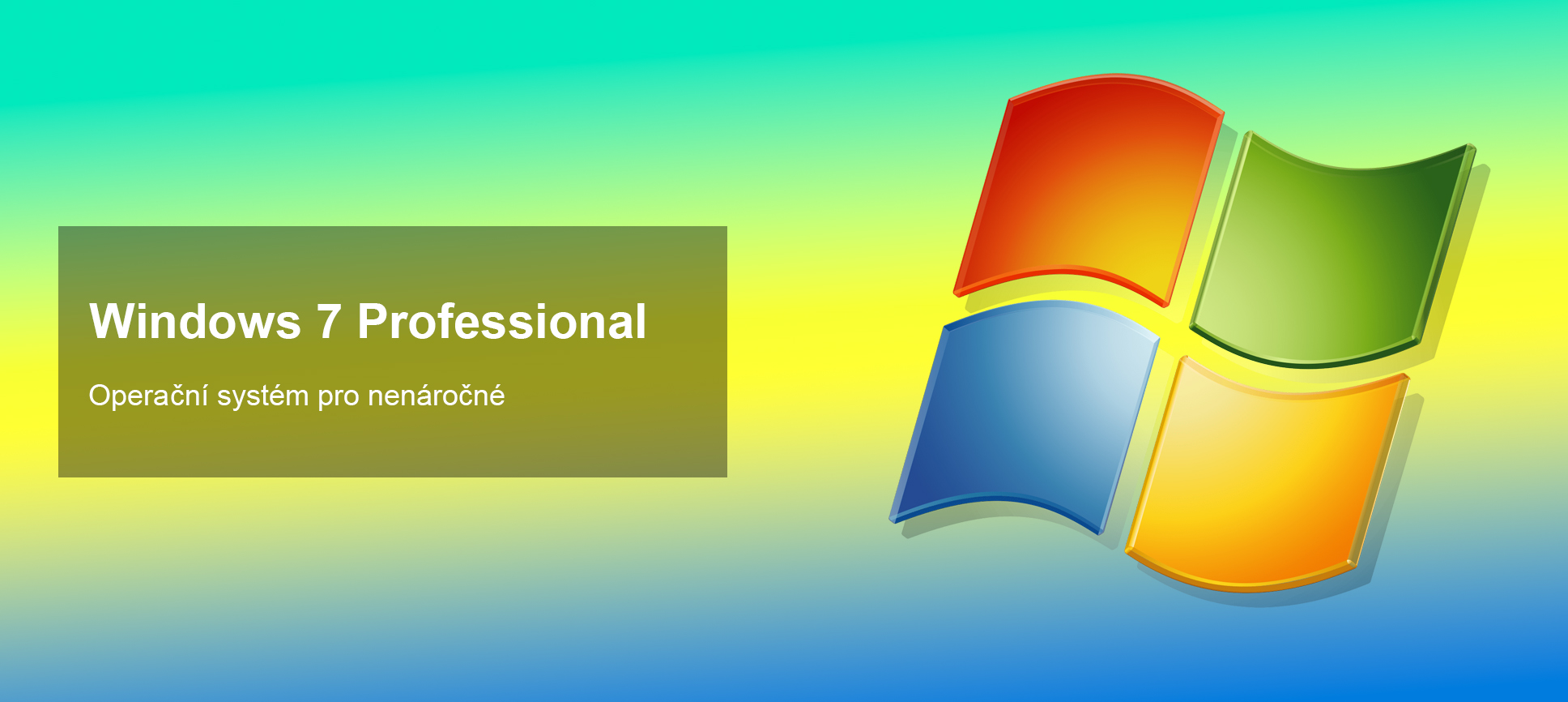 windows7professional