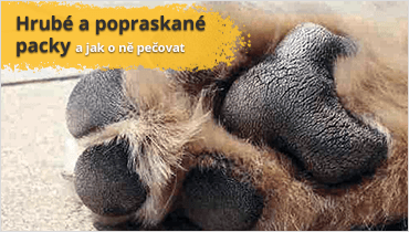 Hrubé a popraskané packy