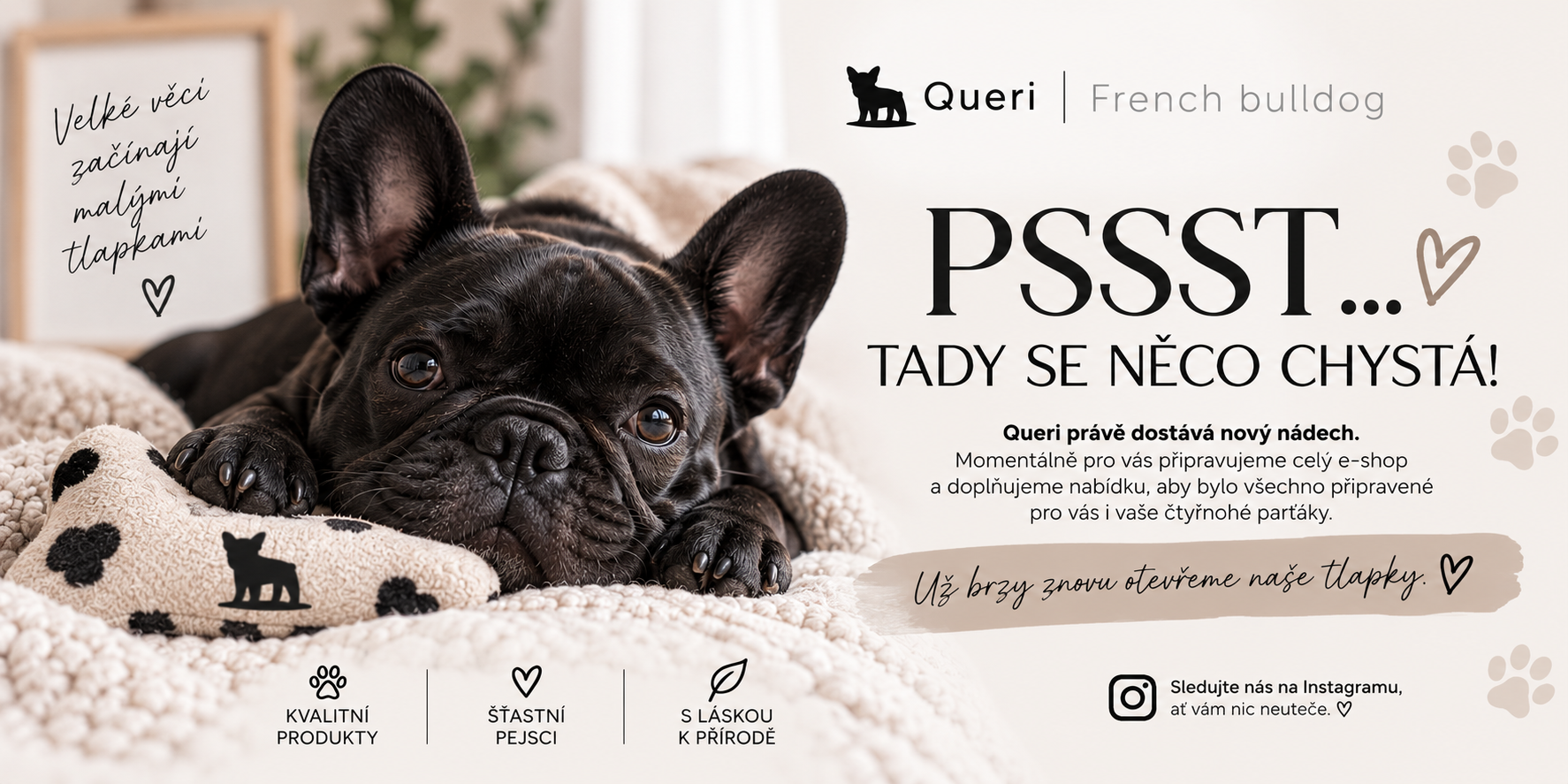 PSSST… TADY SE NĚCO CHYSTÁ! 🐾❤️