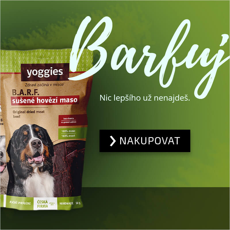 barf pamlsky pro psy