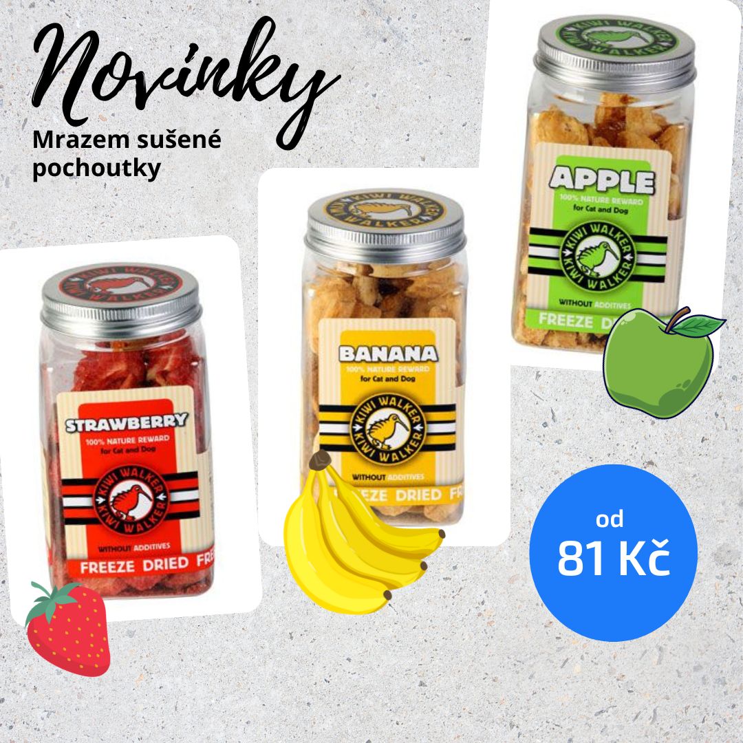 Pochoutky susene mrazem