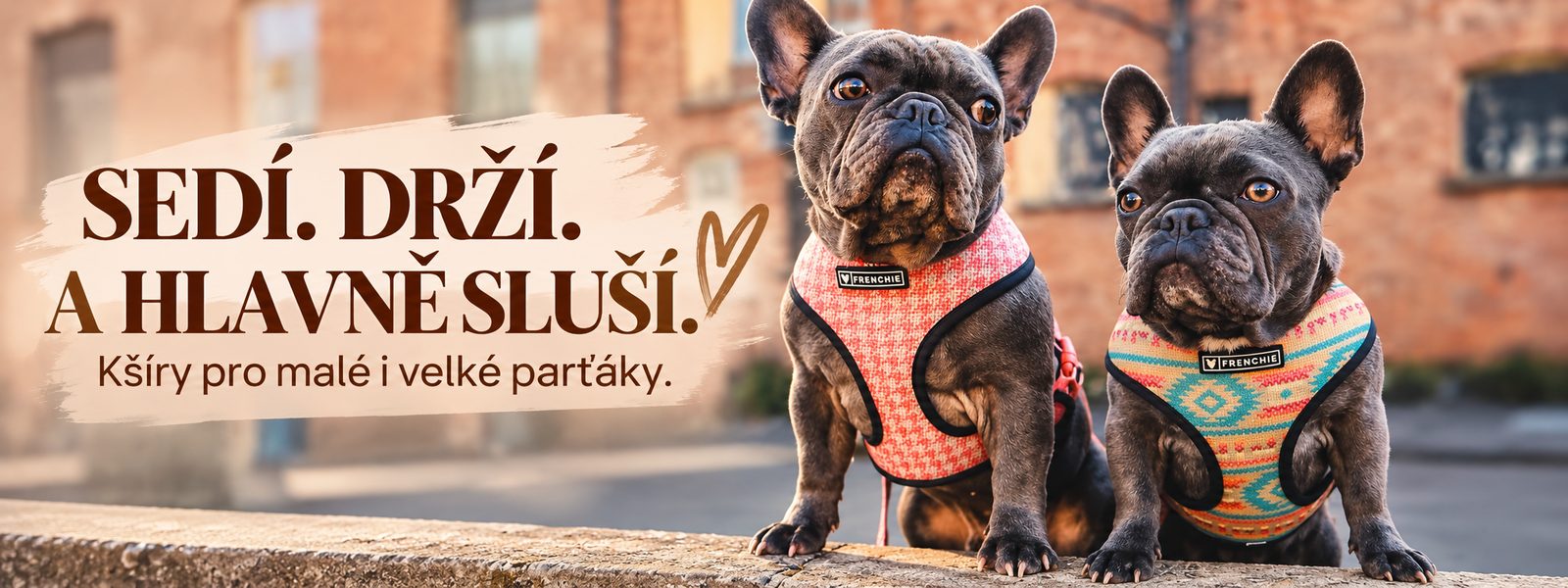 Přírodní balzámy a masti pro psy Natural Dog Company